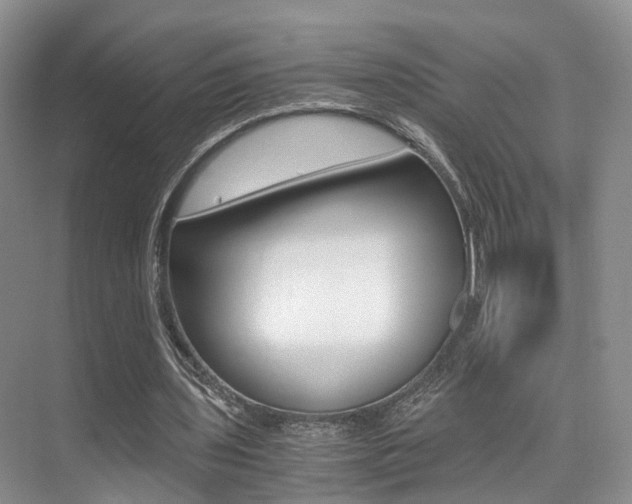 X0000076030435200609220857