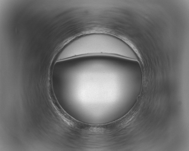 X0000076030437200609220857