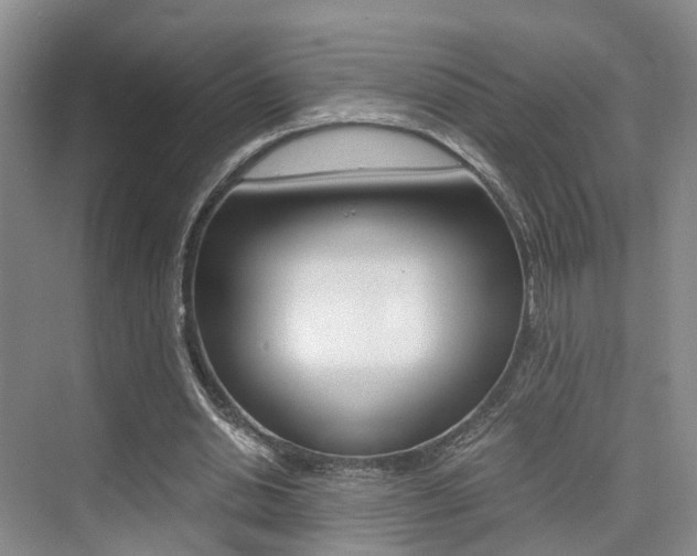 X0000076030438200609220857