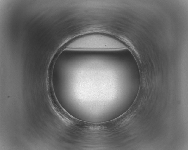 X0000076030439200609220857