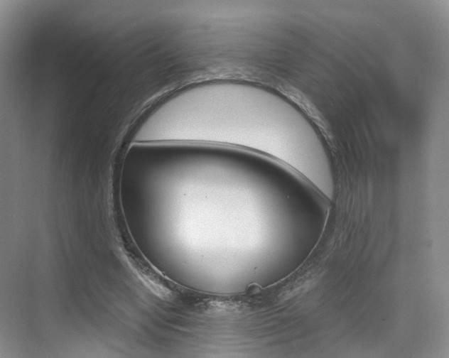 X0000076030442200609220857
