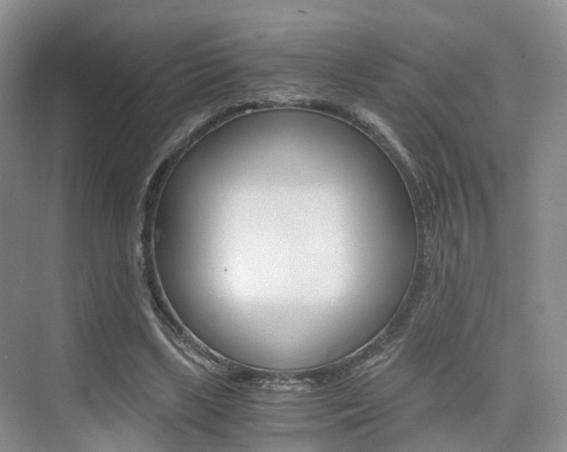 X0000076030443200609220857