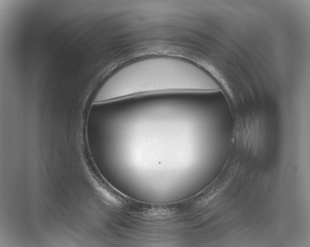 X0000076030445200609220857