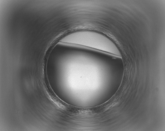 X0000076030446200609220857