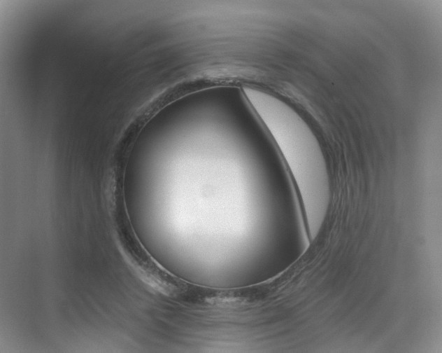 X0000076030448200609220857