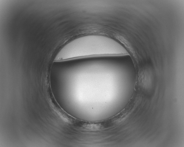 X0000076030449200609220857