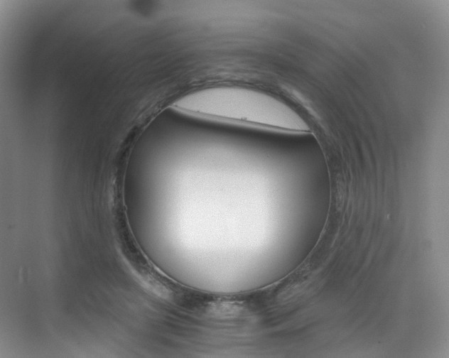 X0000076030451200609220857
