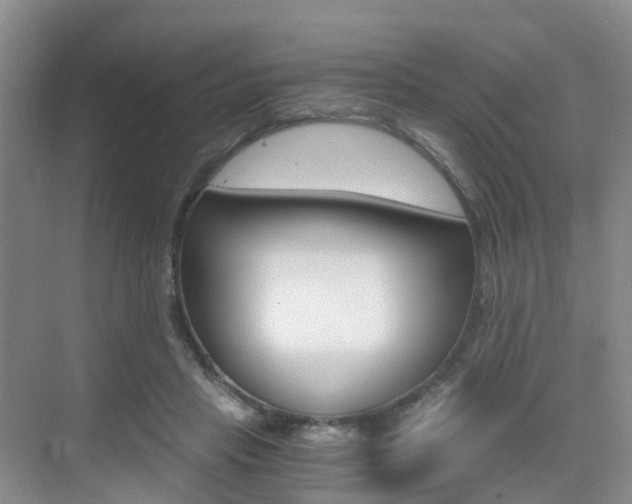 X0000076030453200609220857