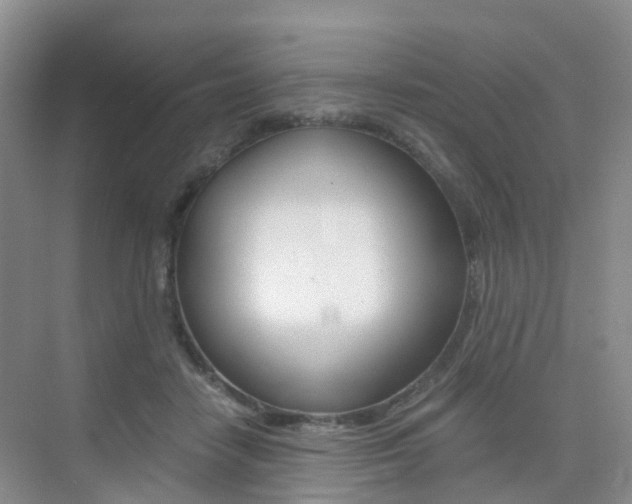 X0000076030458200609220857