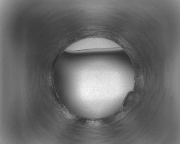 X0000076030469200609220857