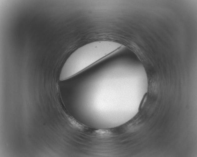 X0000076030477200609220857