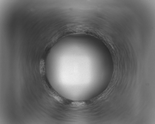 X0000076030480200609220857