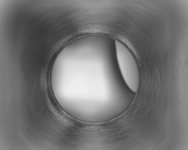 X0000076030482200609220857