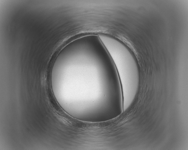 X0000076030483200609220856