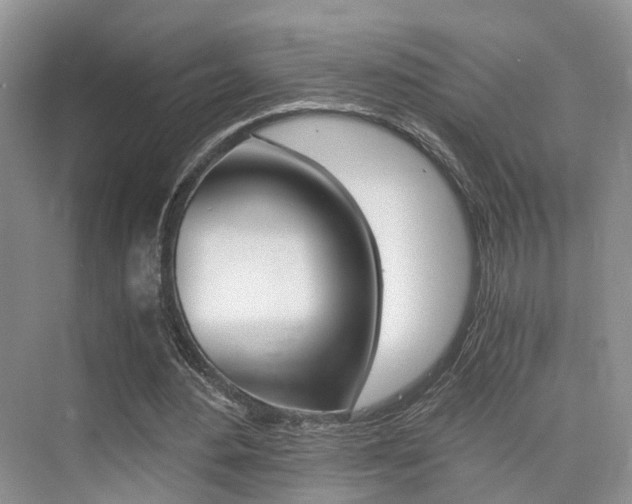 X0000076030484200609220856