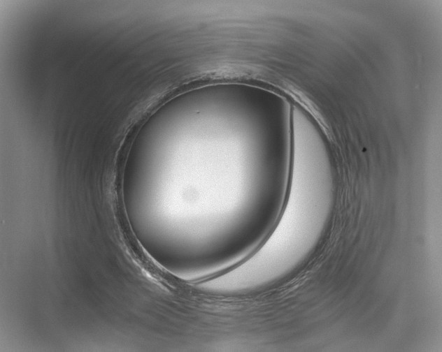 X0000076030485200609220856