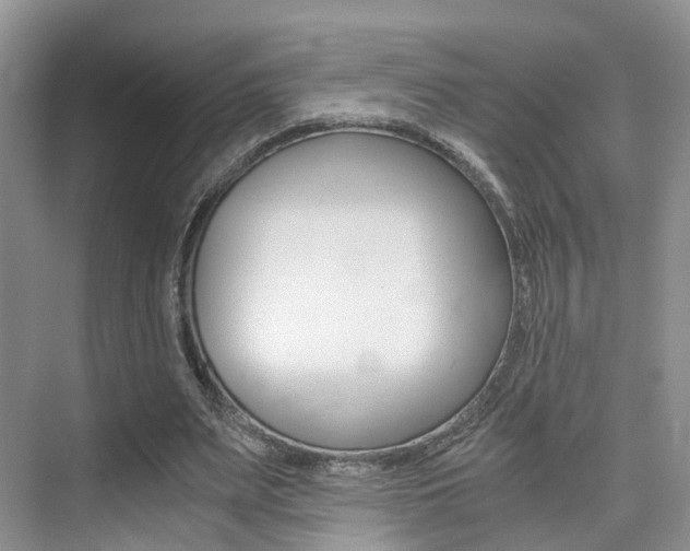 X0000076030487200609220856