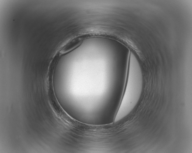 X0000076030488200609220856