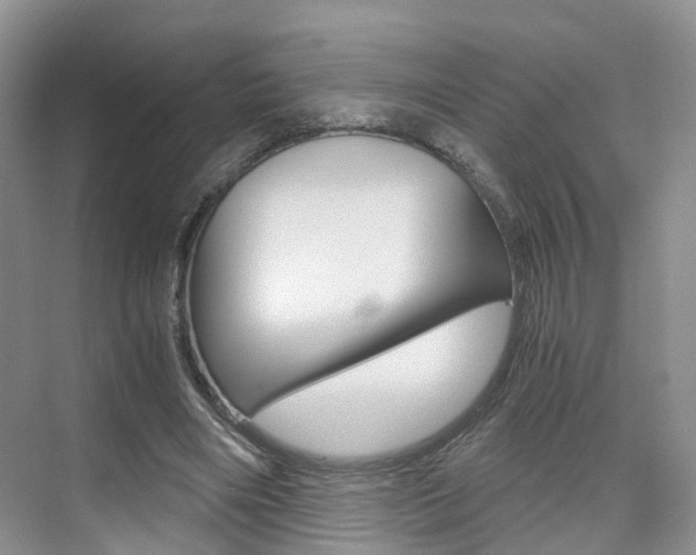 X0000076030490200609220856