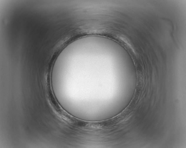 X0000076030491200609220856