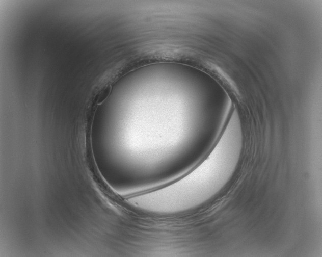 X0000076030493200609220856