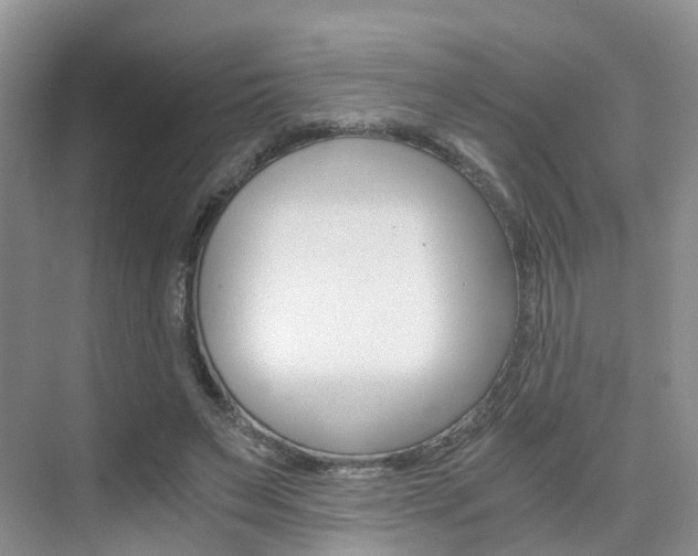 X0000076030495200609220856