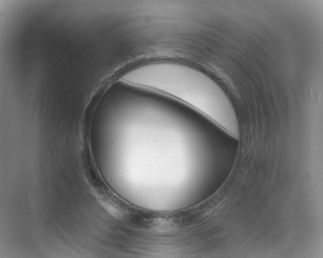 X0000076030496200609220856