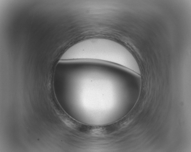 X0000076030505200609220856
