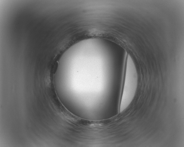 X0000076030508200609220856