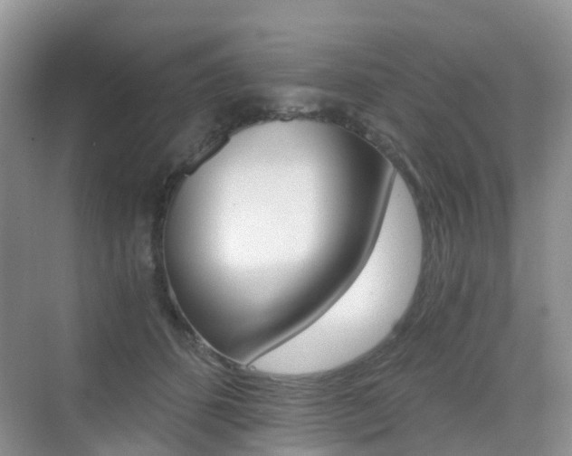 X0000076030512200609220856