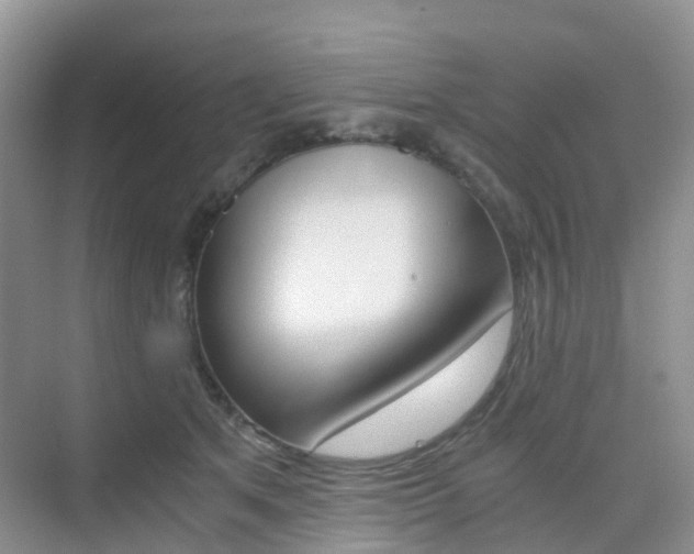 X0000076030513200609220856