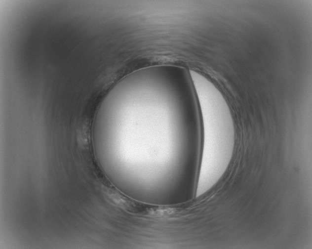X0000076030517200609220856