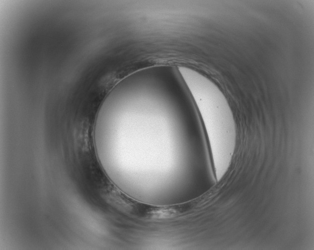 X0000076030525200609220856