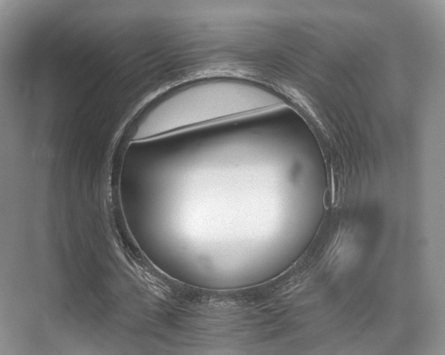 X0000076030531200609220855