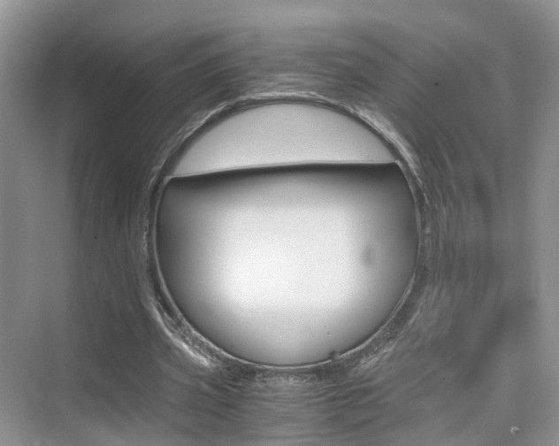 X0000076030533200609220855