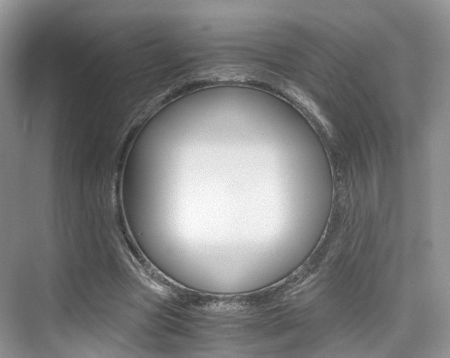 X0000076030537200609220855