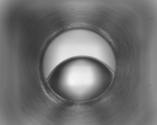 X0000076030538200609220855