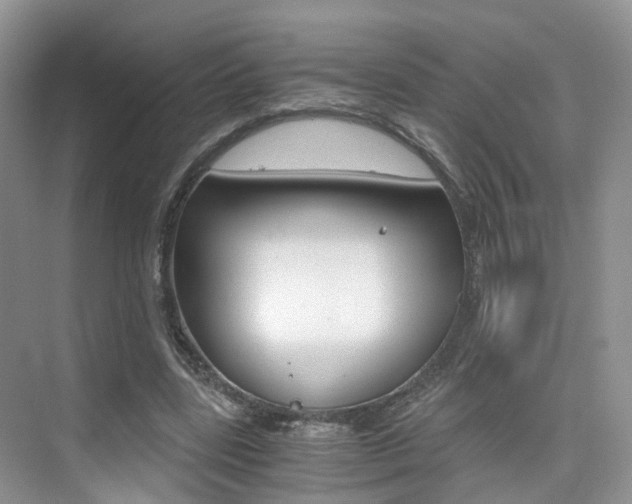 X0000076030539200609220855