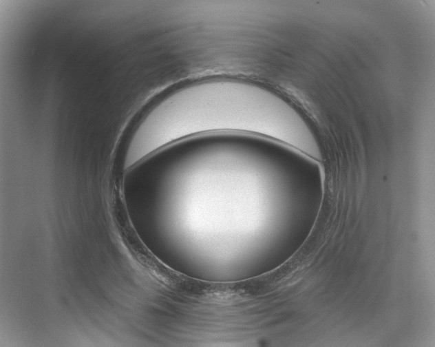 X0000076030540200609220855