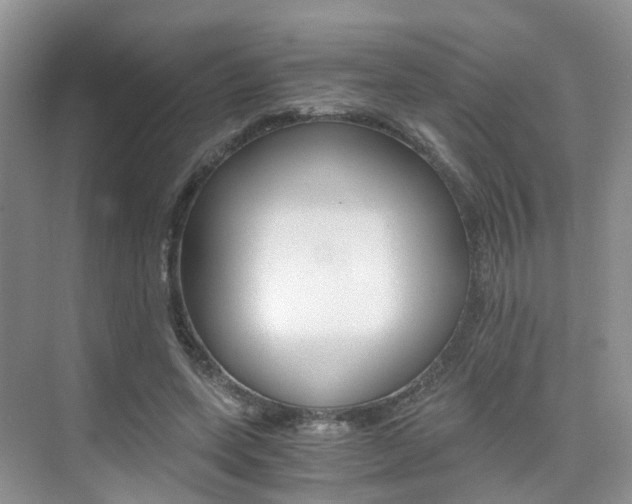 X0000076030543200609220855