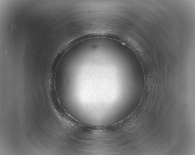 X0000076030544200609220855