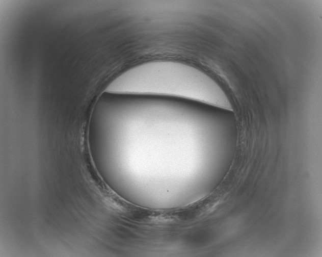 X0000076030545200609220855