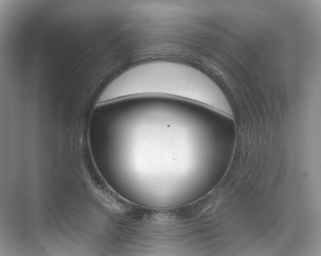 X0000076030546200609220855