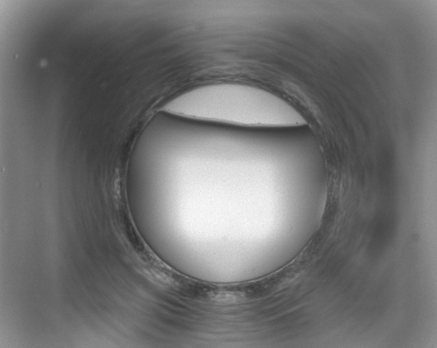 X0000076030549200609220855
