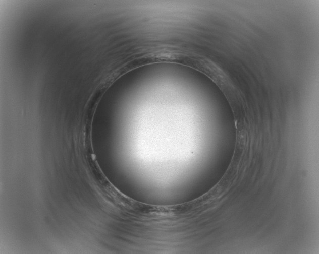X0000076030552200609220855