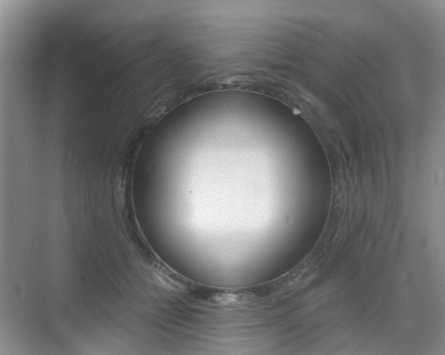 X0000076030558200609220855