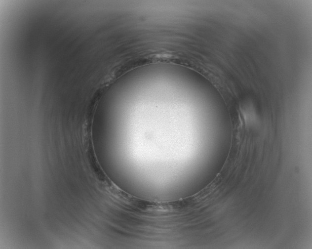 X0000076030559200609220855