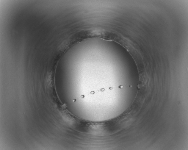 X0000076030560200609220855