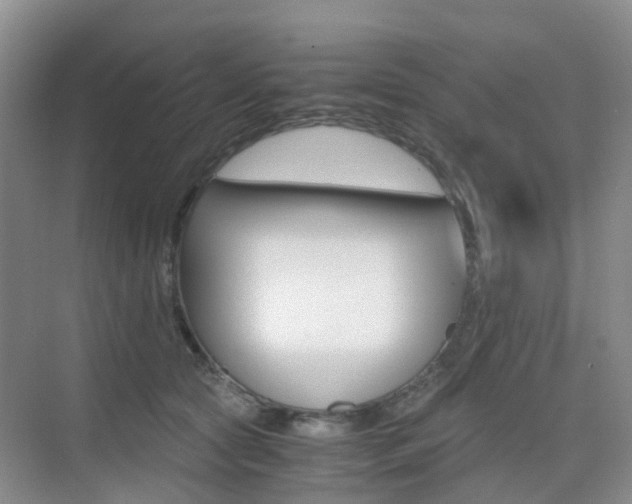 X0000076030561200609220855