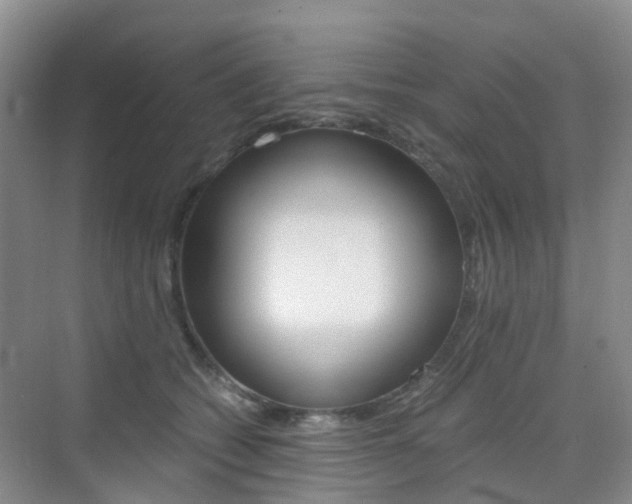 X0000076030562200609220855